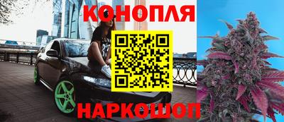 индика Комсомольск-на-Амуре