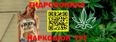 индика Комсомольск-на-Амуре