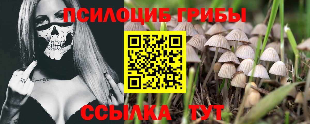 Псилоцибиновые грибы Magic Shrooms Каспийск